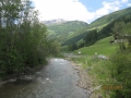 ghnp-29