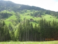 ghnp-31