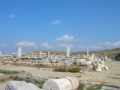 Delos-07