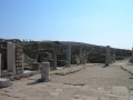 Delos-11