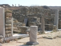 Delos-12