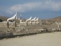 Delos-25