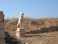 Delos-26