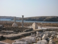 Delos-33