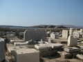 Delos-83