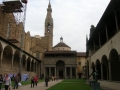 Florence-44