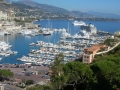 Monte Carlo-24