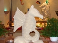 DSC00435_edited-1