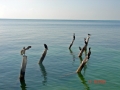 DSC00313_edited-1
