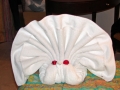 DSC00472_edited-1