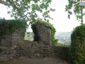 DSCN3084-1