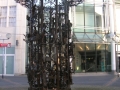 DSCN3149-1